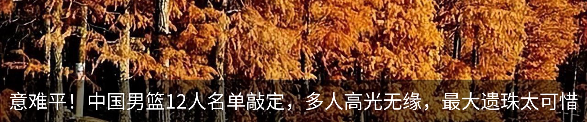 资讯动态