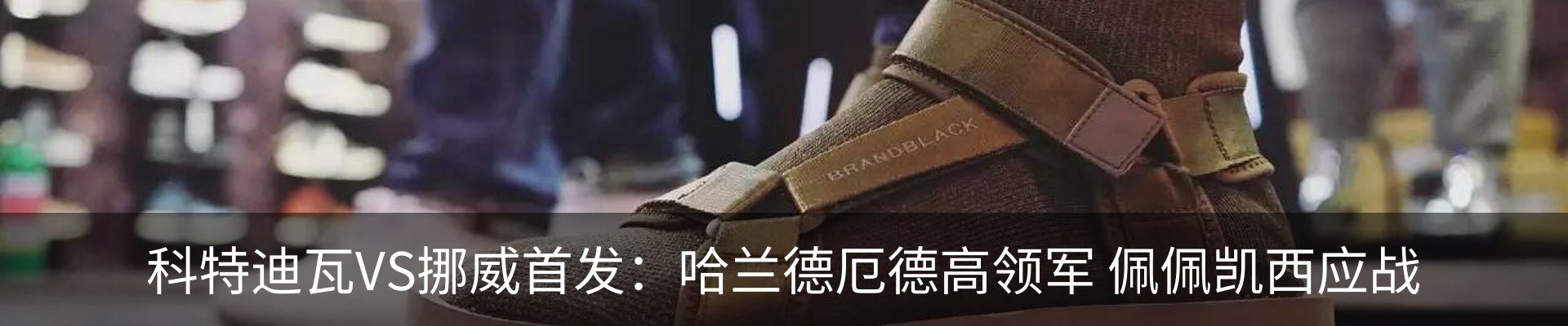 资讯动态