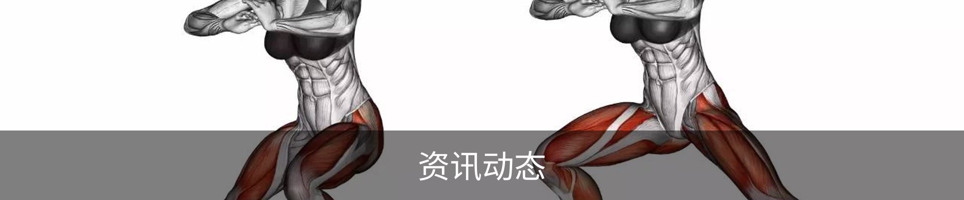 资讯动态